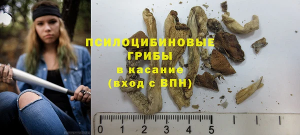 мет Арсеньев
