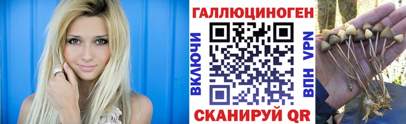 закладка  Усолье-Сибирское  omg онион  Псилоцибиновые грибы ЛСД 